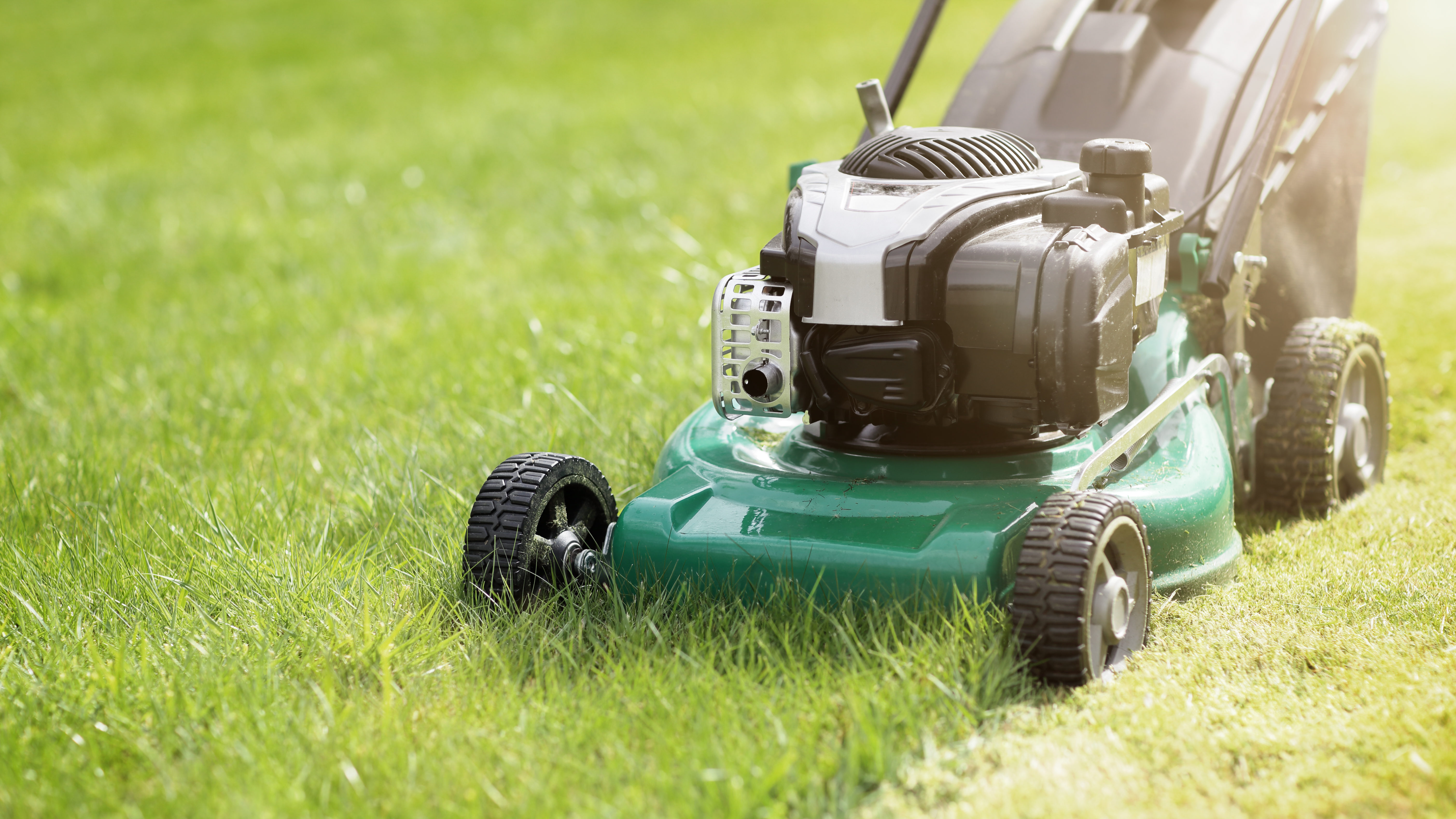 Rosewood lawn mower online repair